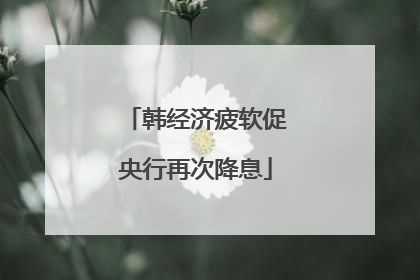 韩经济疲软促央行再次降息